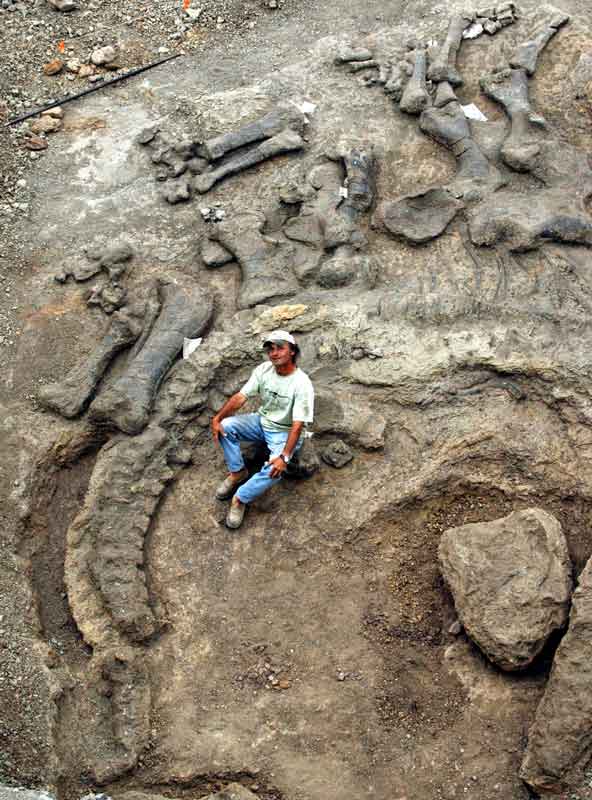 Bob Simon with the Camarasaurus in-ground