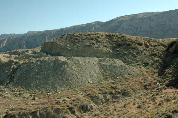 Concrete Jungle Dig Area