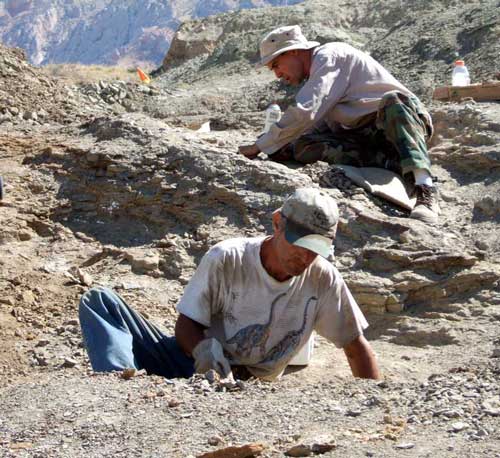 Bob and Don at digsite