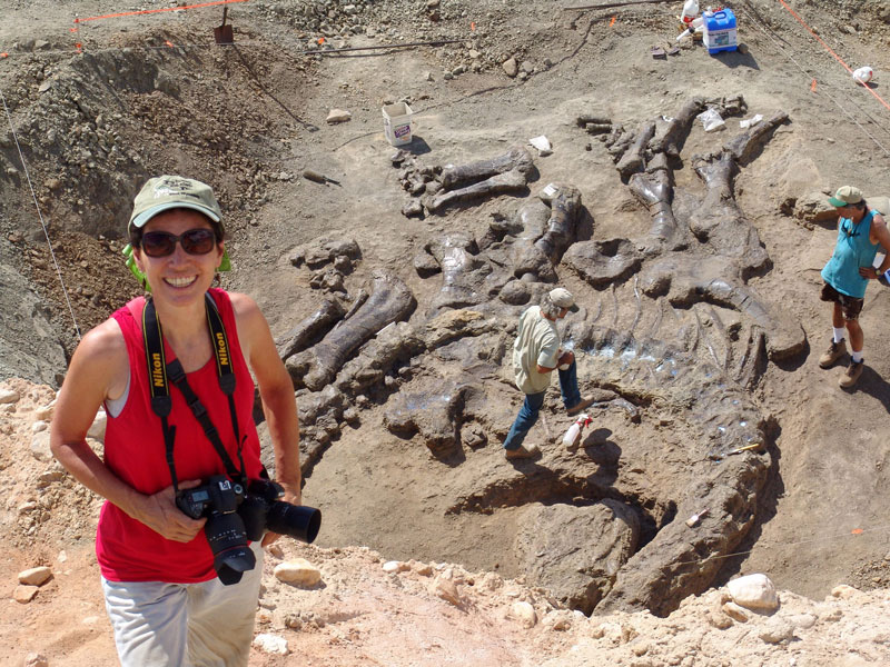 Terry photographing Camarasaurus