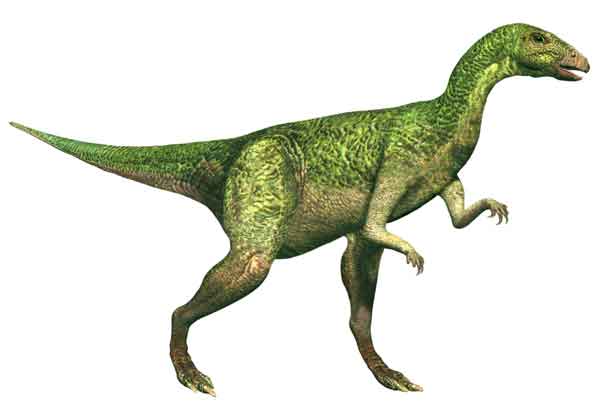 artist recreation of Dryosaurus