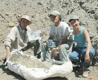 Don Pfister, Bob Simon, Terry Pfister