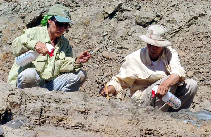Terry and brother Don protecting cervical vertebrae