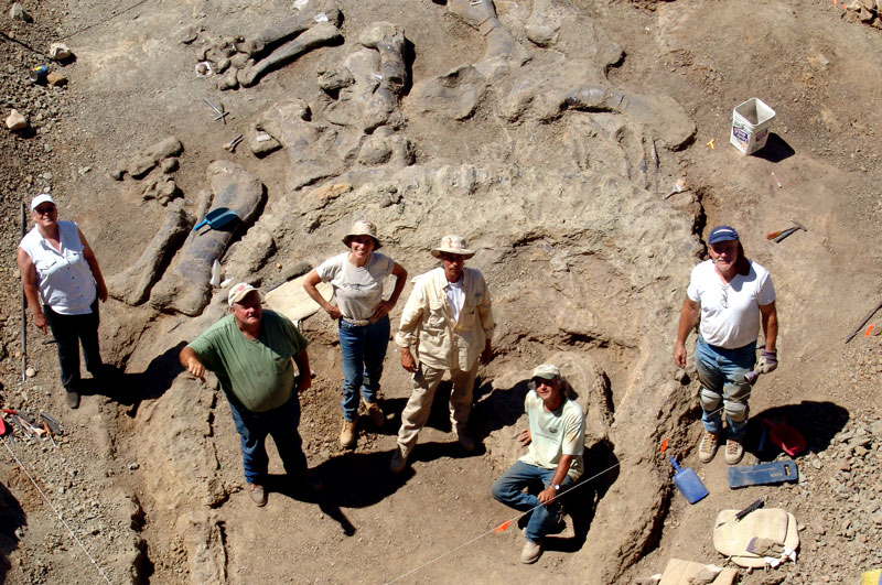 Camarasaurus Paleo Team