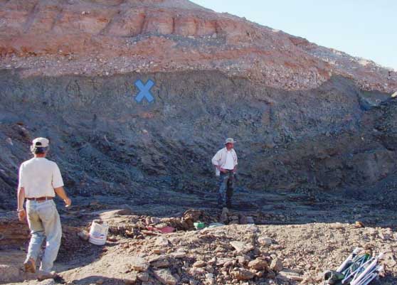 Blue X marks Scattered Bone layer