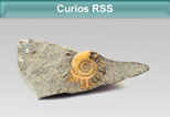 Curios RSS